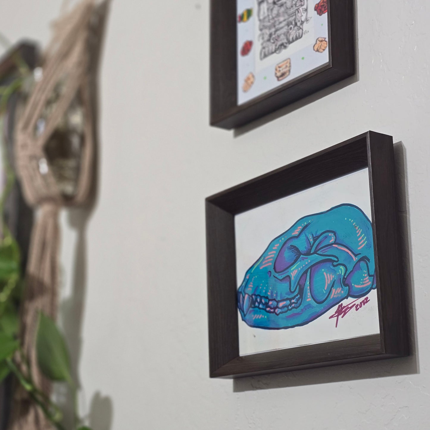 Raccoon Skull