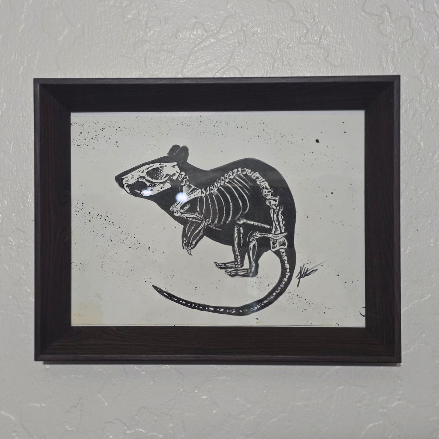 The Rodent