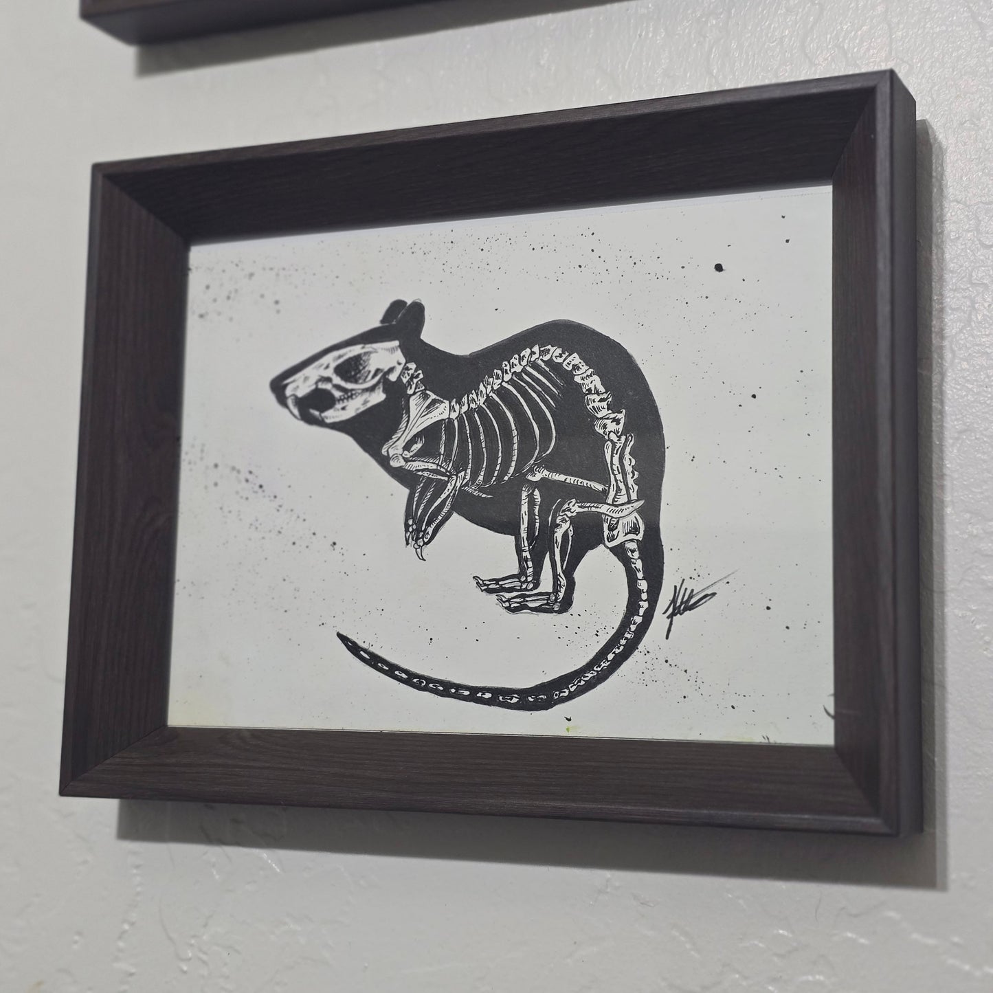 The Rodent