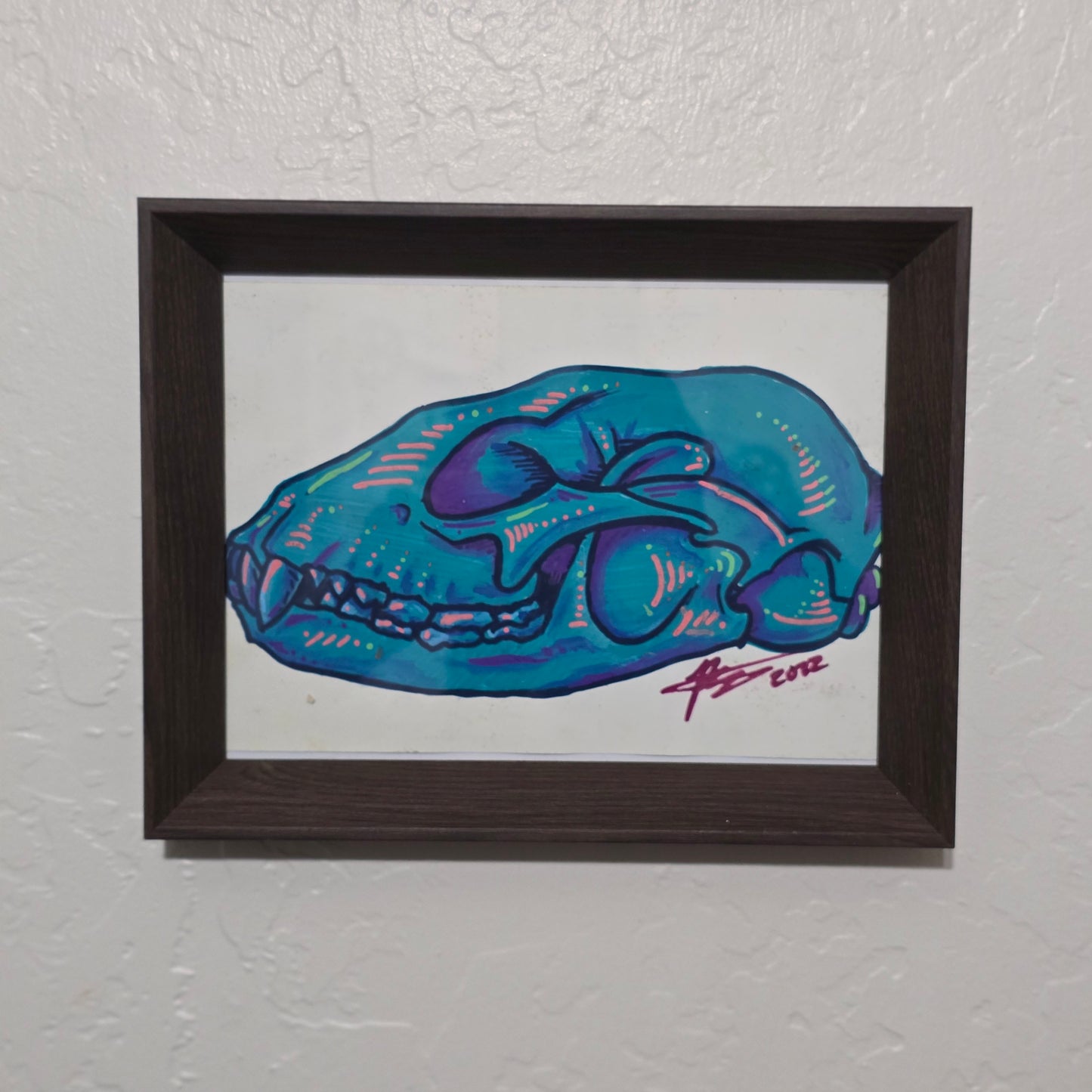 Raccoon Skull